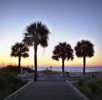 coligny boardwalk