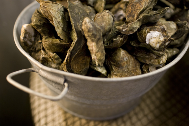 Benny Hudson Seafood - Logo