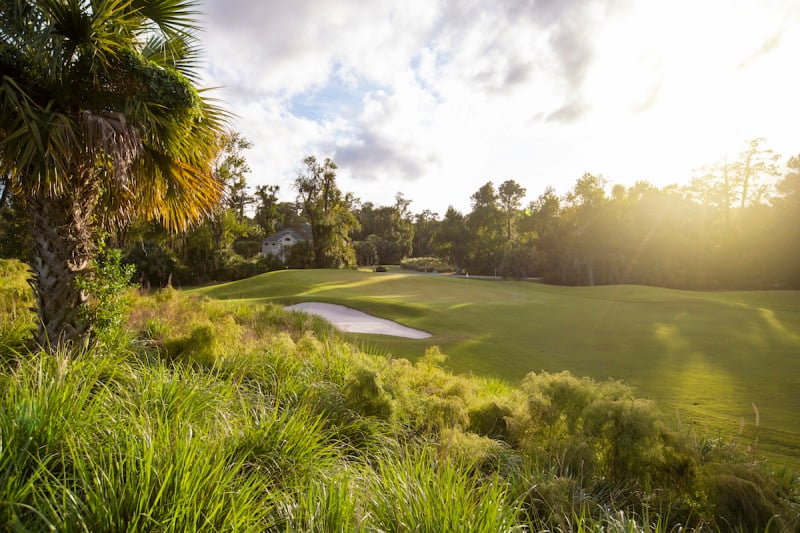 Palmetto Dunes Oceanfront Resort - Logo