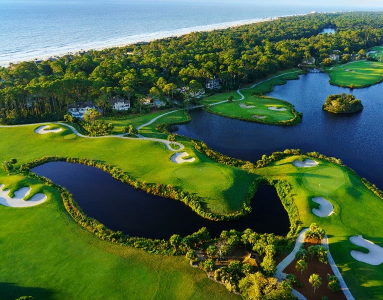 Palmetto Dunes Oceanfront Resort - Logo